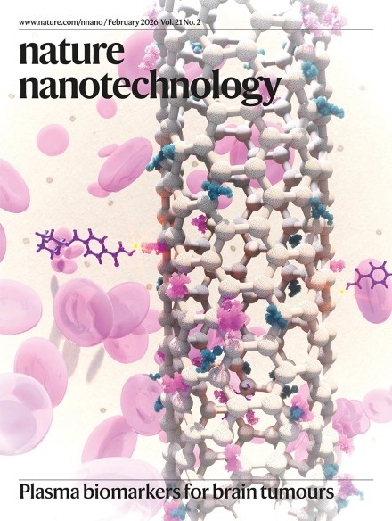 Nat Nano 2026