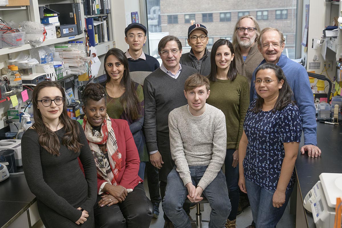 The John Petrini Lab