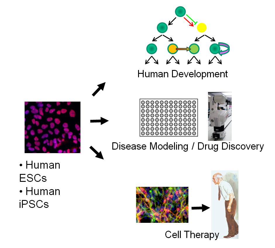 Lab overview