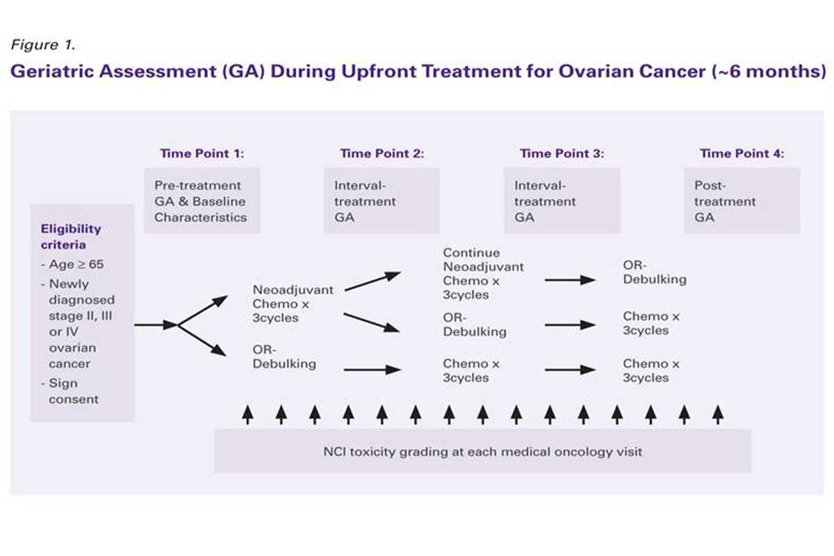 Figure 1 -- Geriatric Assessment (GA) During Upfront Treatment for Ovarian Cancer (~6 months)