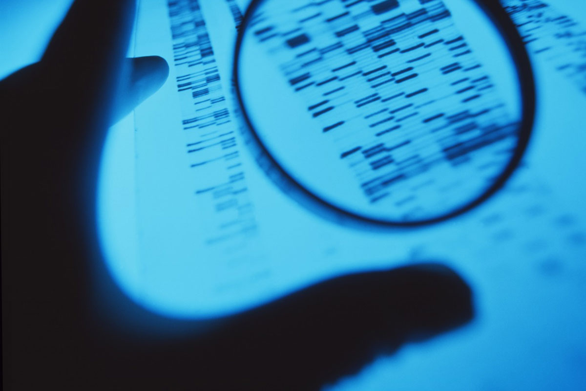 Gloved hand and magnifying glass on banded DNA sequences