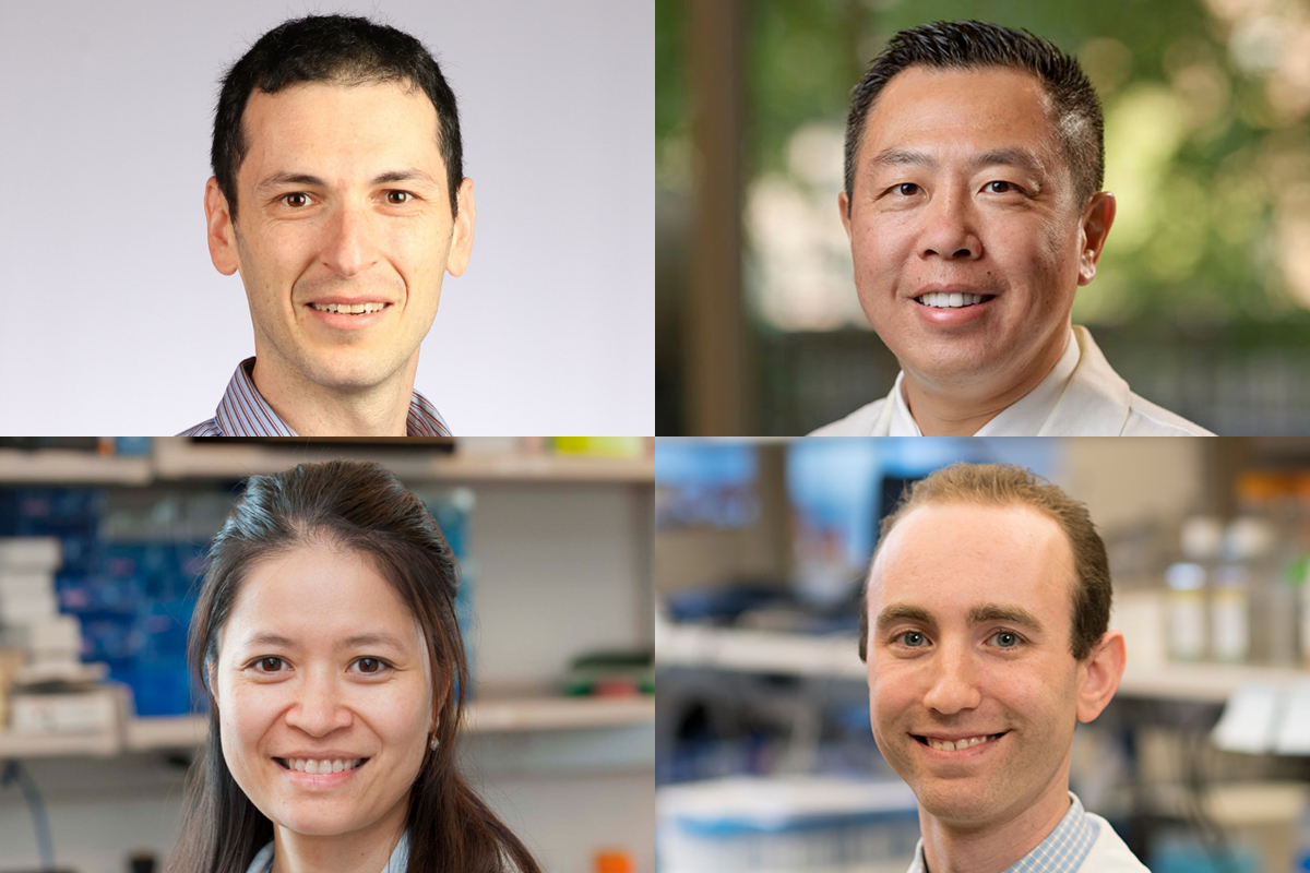 Roni Shouval, MD, PhD, Richard Lin, MD, PhD, Diu Nguyen, DPhil, Scott Millman, MD, PhD