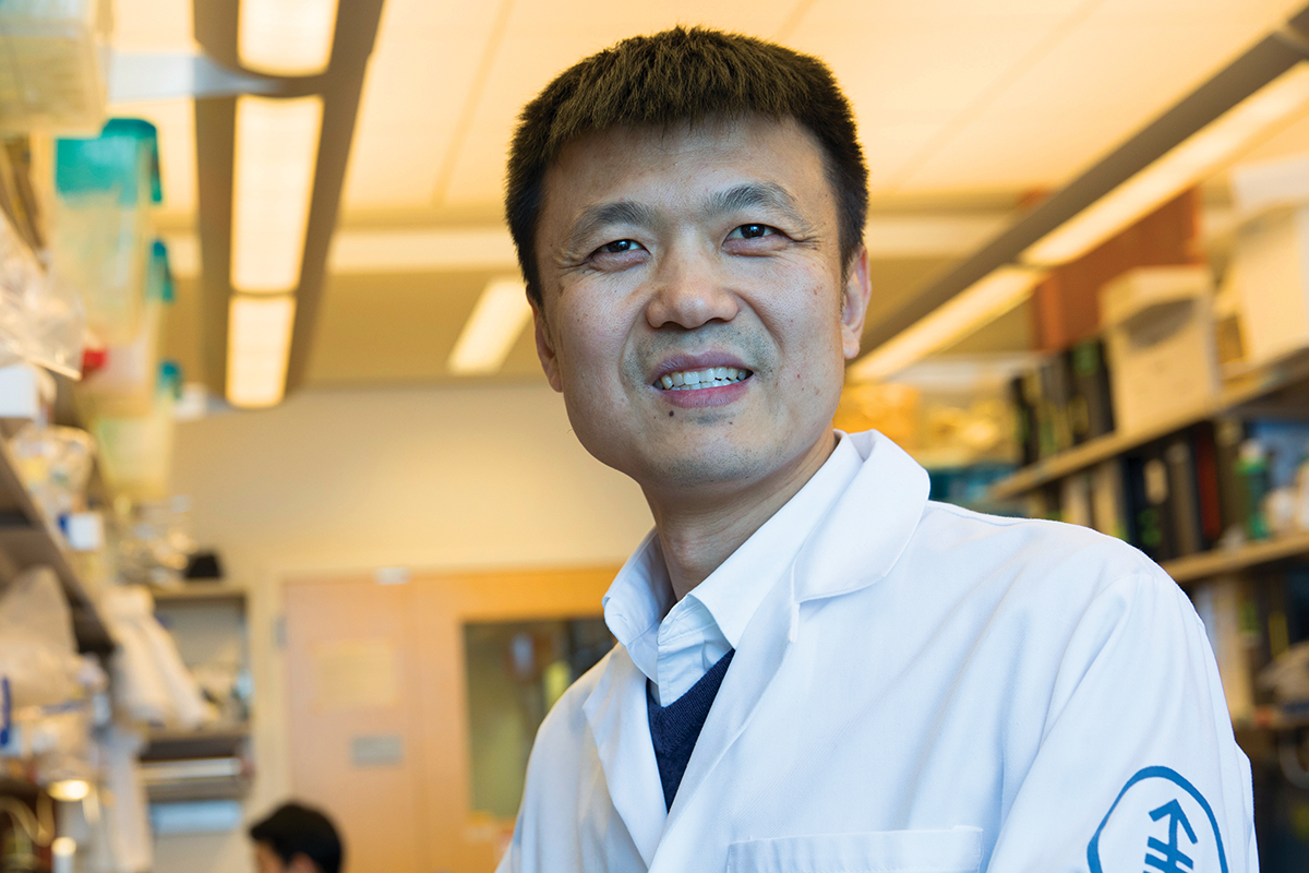 MSK immunologist Ming Li