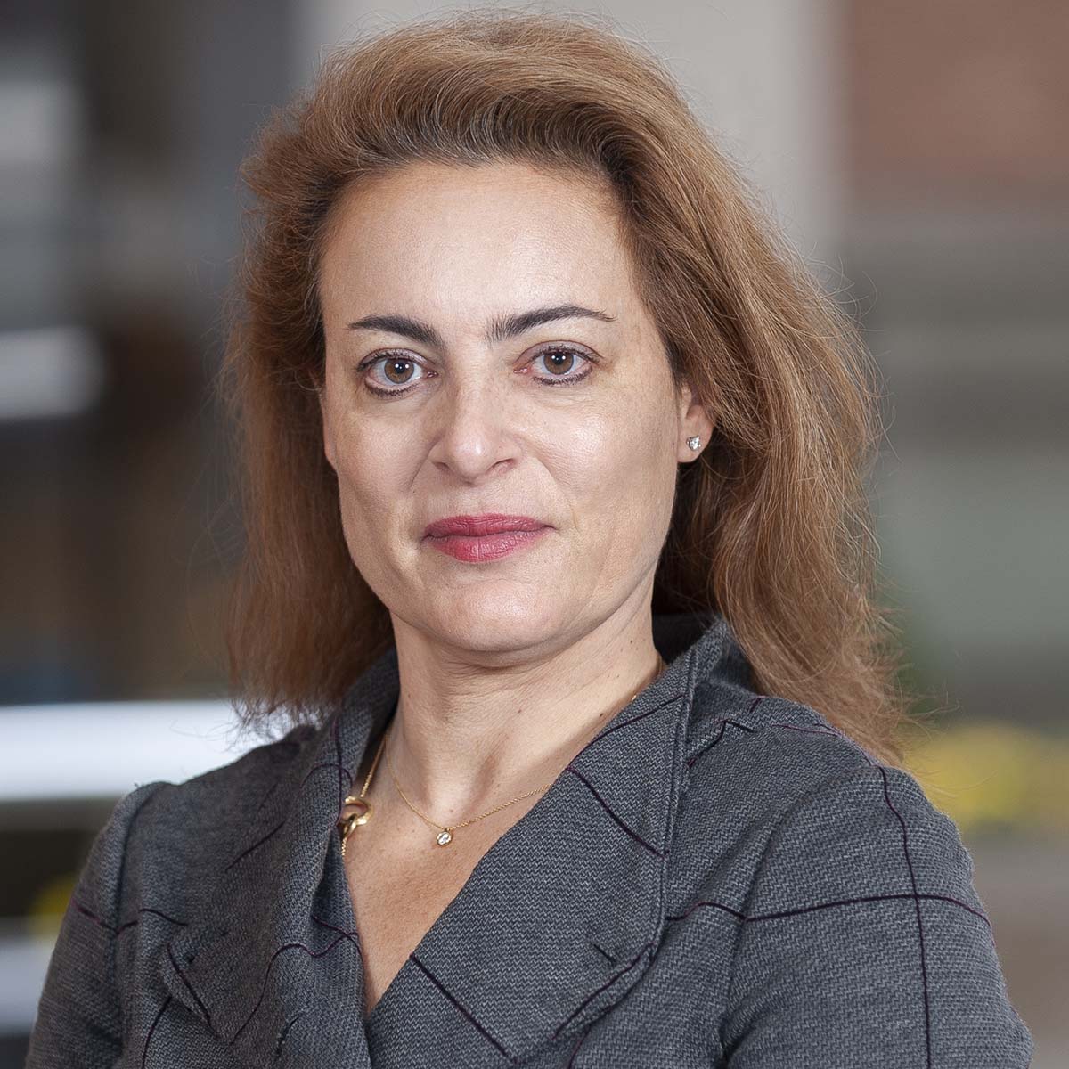 Memorial Sloan Kettering Cardiologist Ioanna Kosmidou