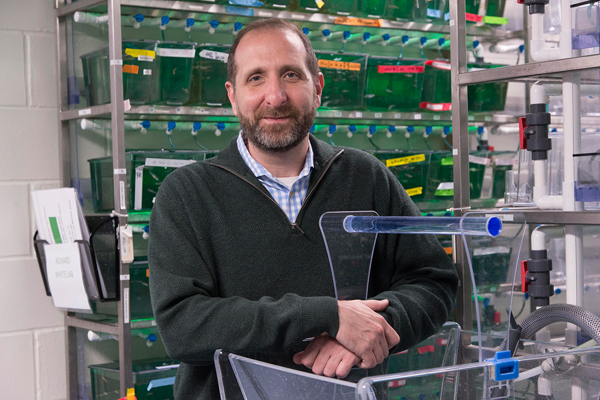 Richard White in the fish facility at MSK