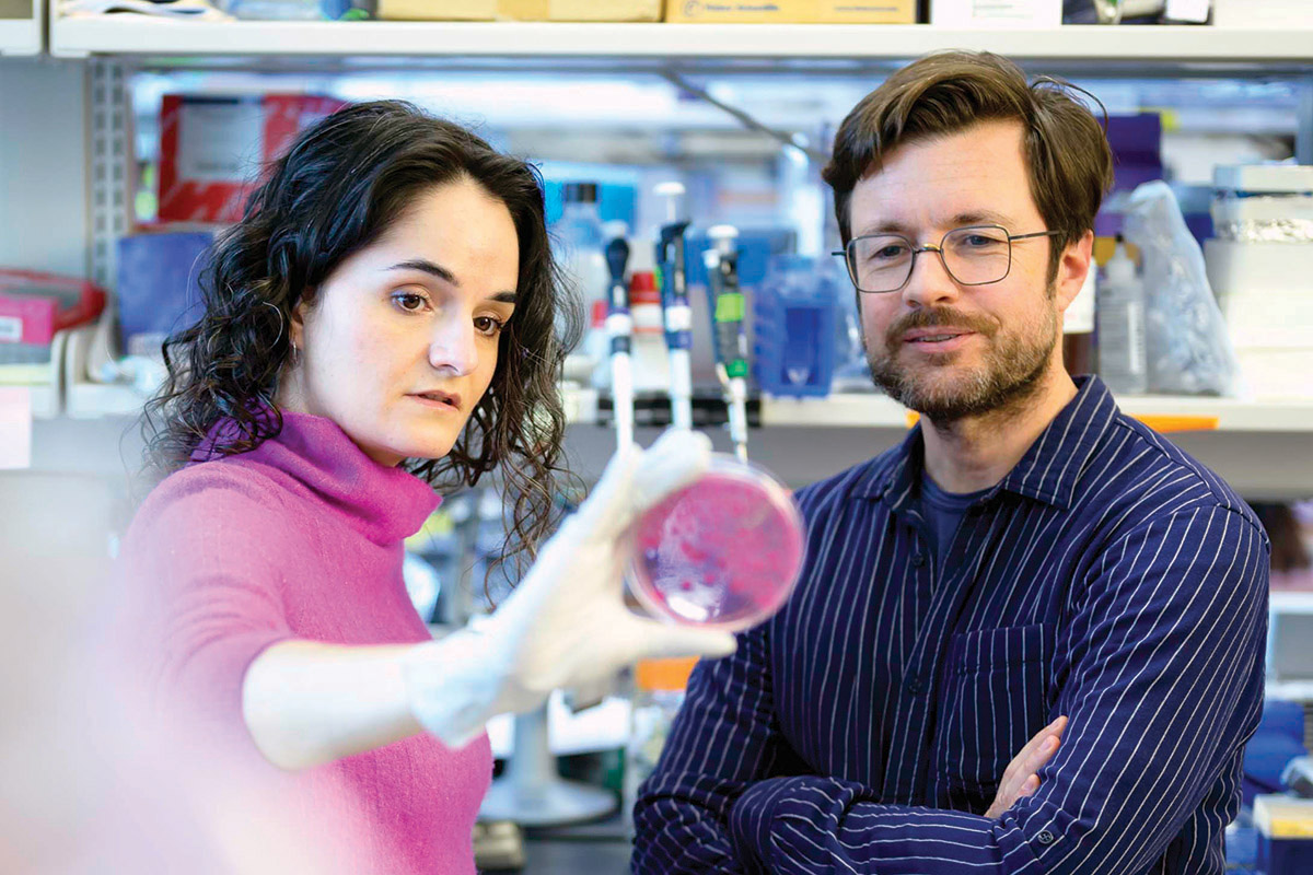 Joao Xavier and Ana Djukovic look at a petri dish in the lab