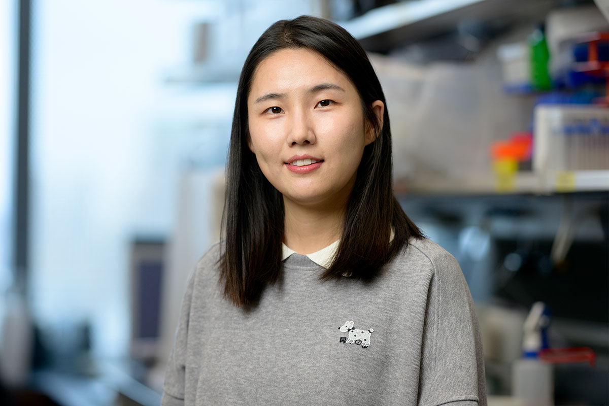 Yue Huang, PhD