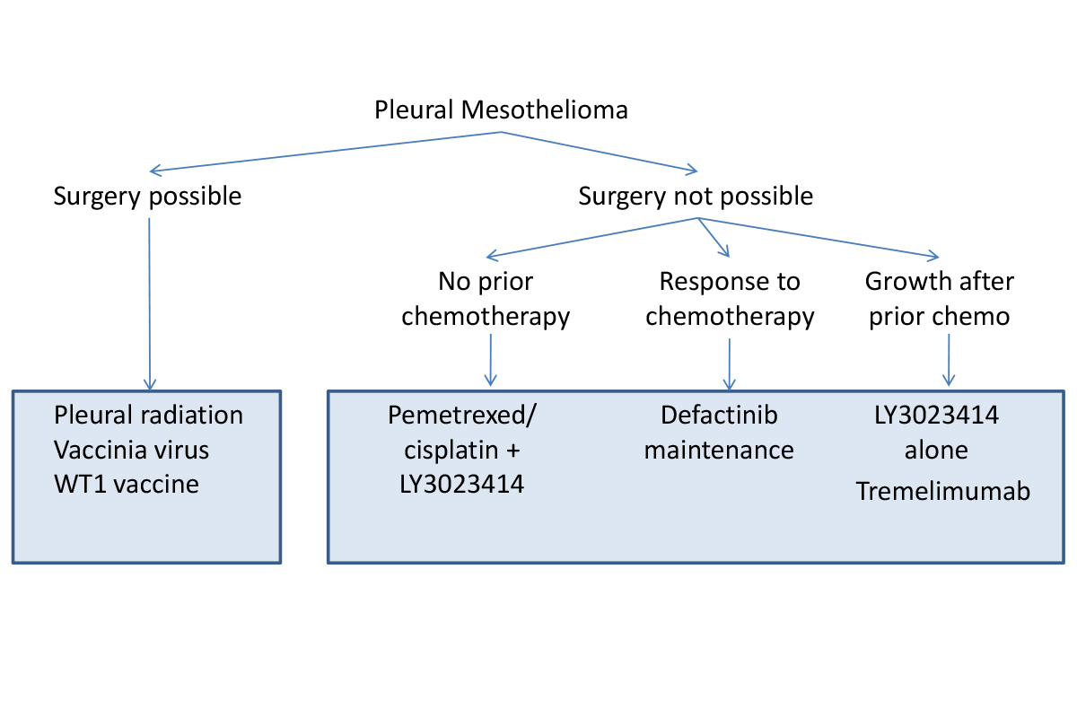 Memorial Sloan Kettering clinical trial flowchart for patients with pleural mesothelioma