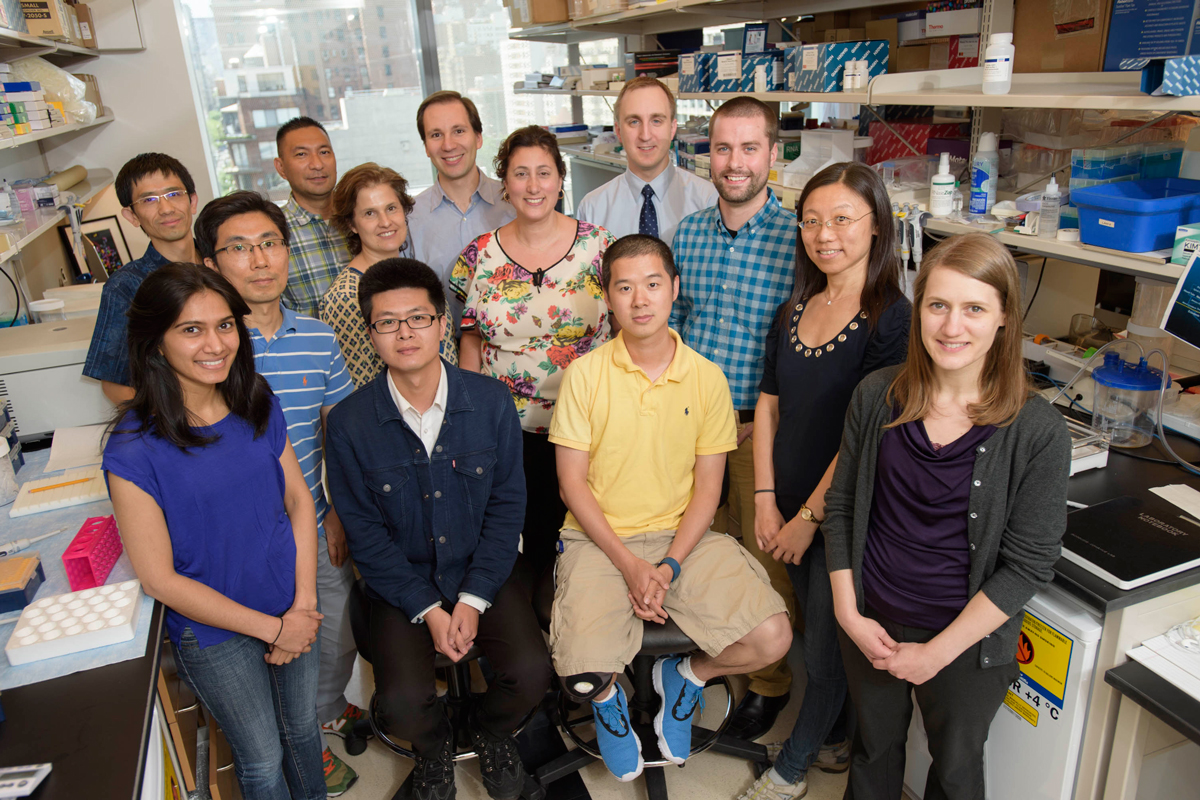 The Christine Iacobuzio-Donahue Lab