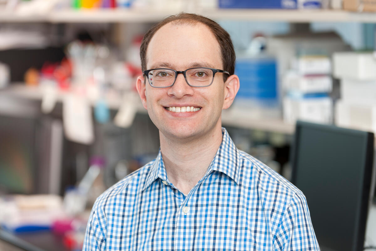 Daniel A. Heller