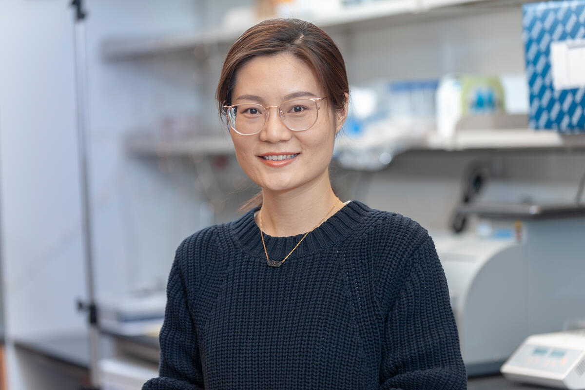 Quingwen Jiang