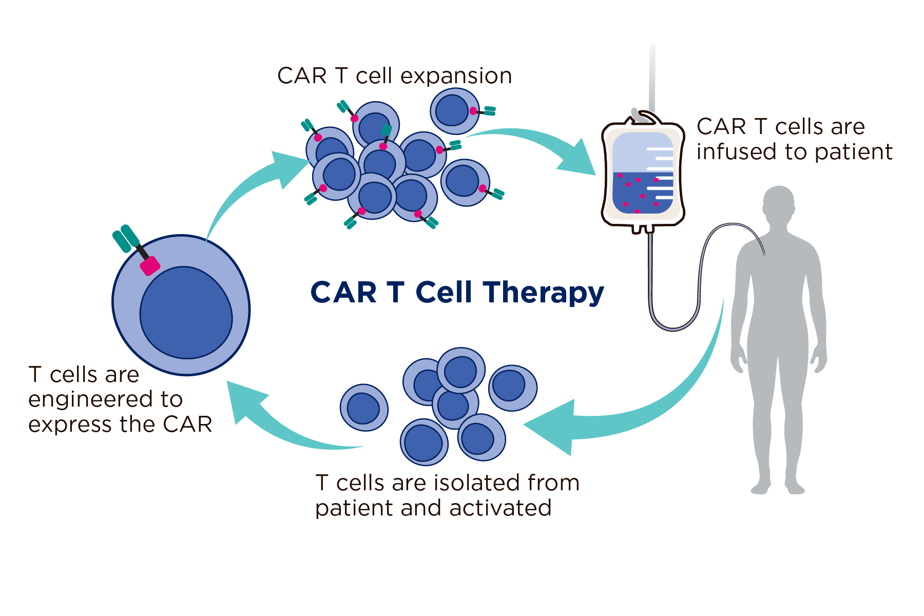 CAR T Cell Therapy illiustration