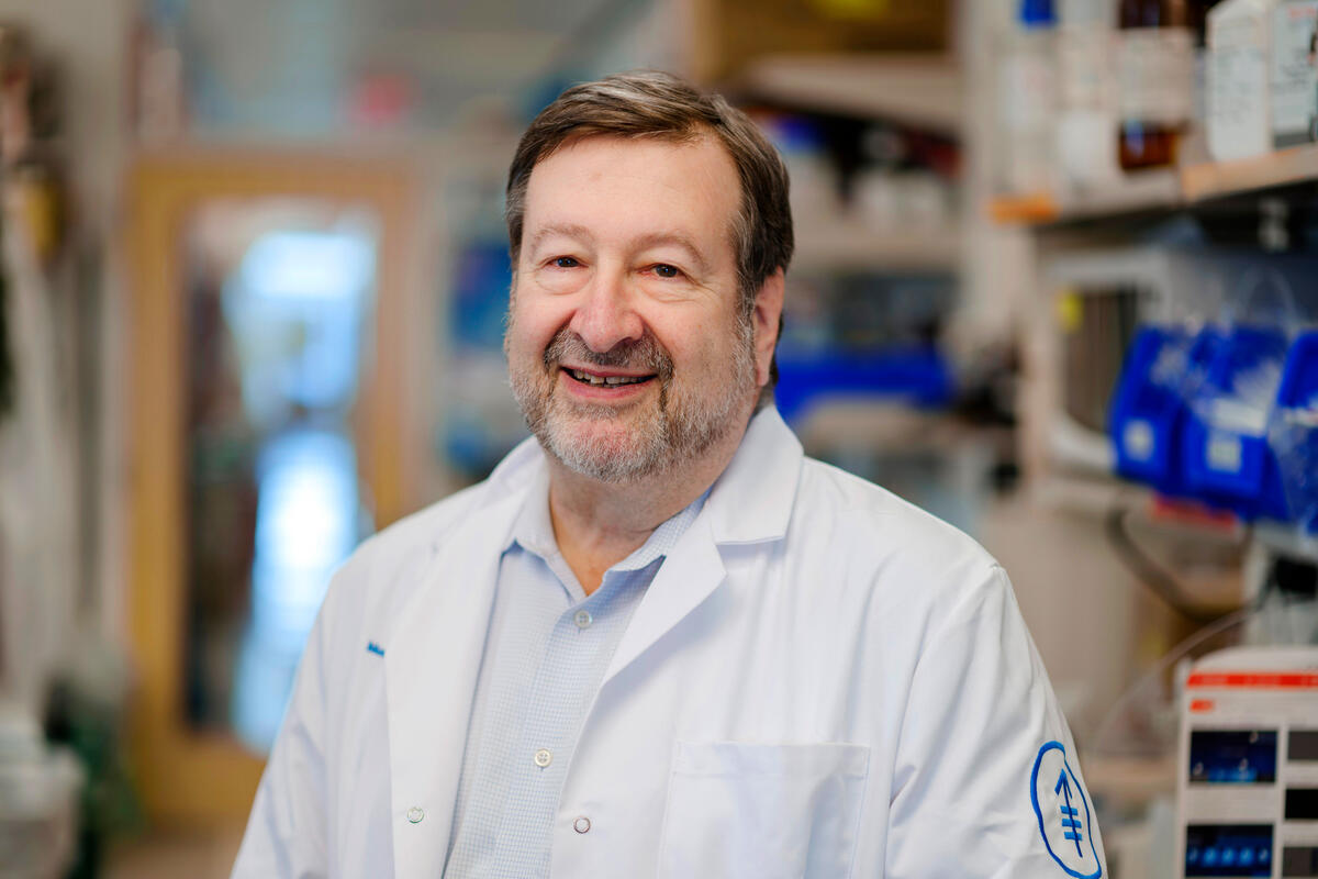 David Scheinberg
