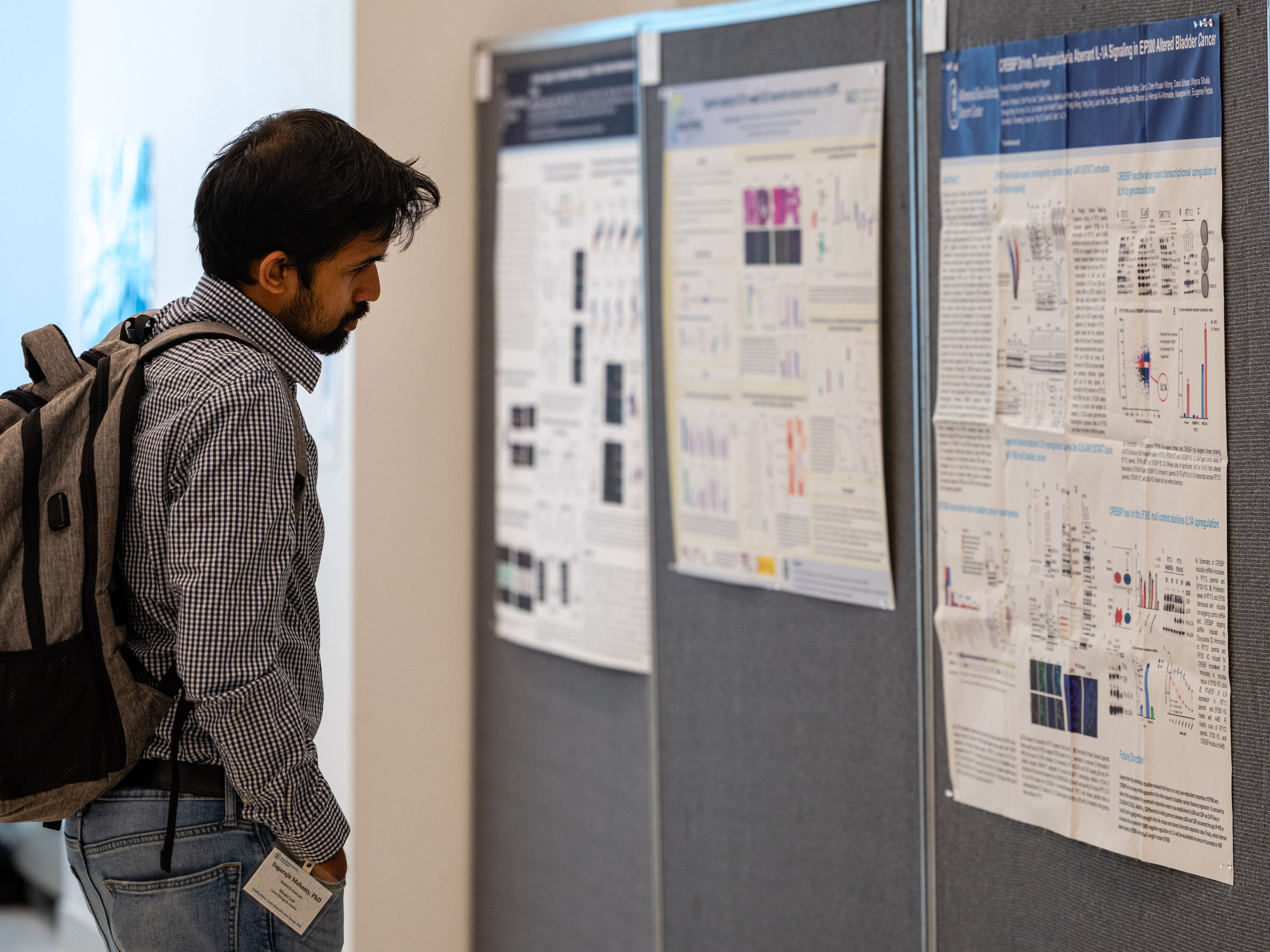 Post-doctoral student looks at scientific posters hanging at the Beene Retreat.
