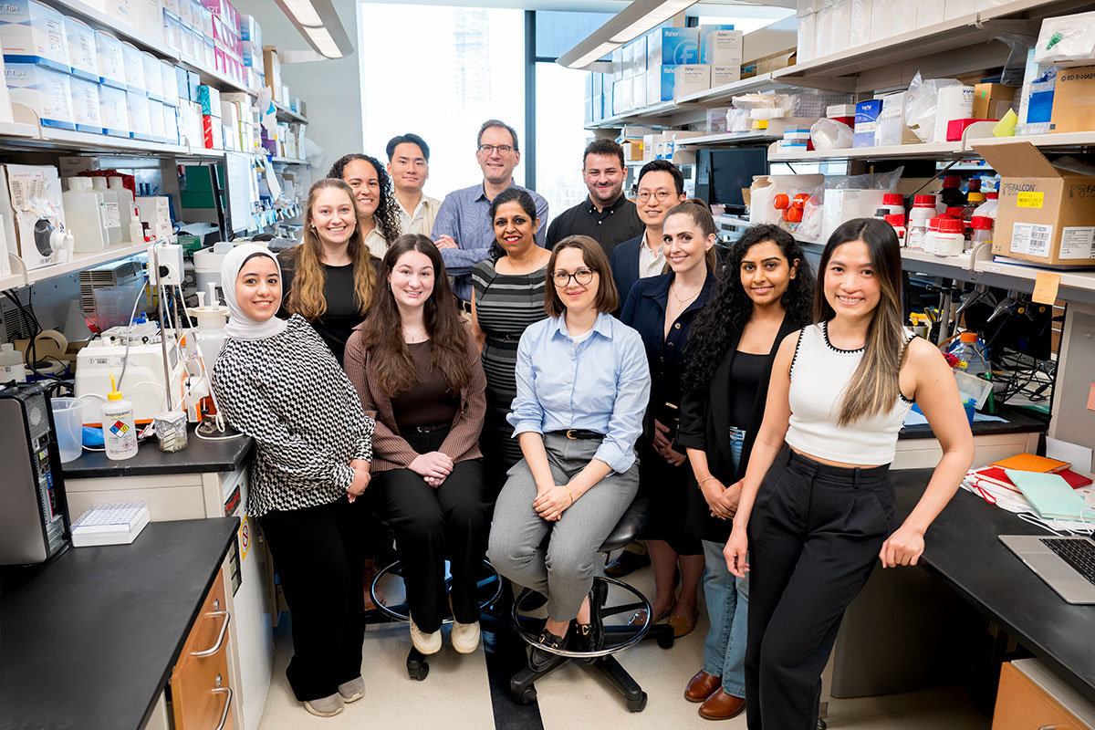 The Grimm Lab