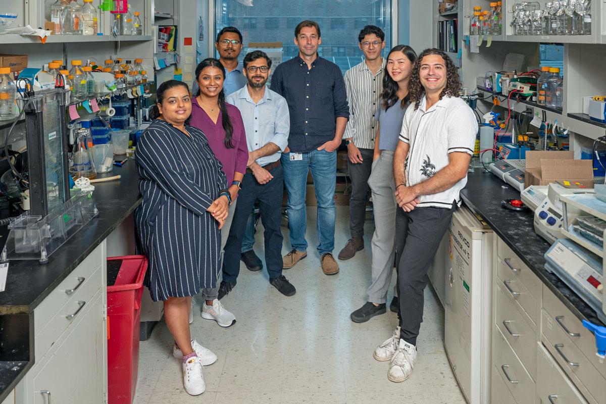 The Dirk Remus Lab