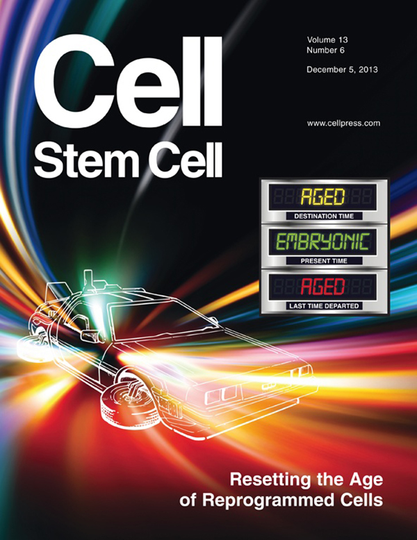 Reprinted from Cell Stem Cell, Volume 13, Issue 6. Copyright  2013, with permission from Elsevier Inc. Cover design and illustration by Justine Miller and Newsome Design.