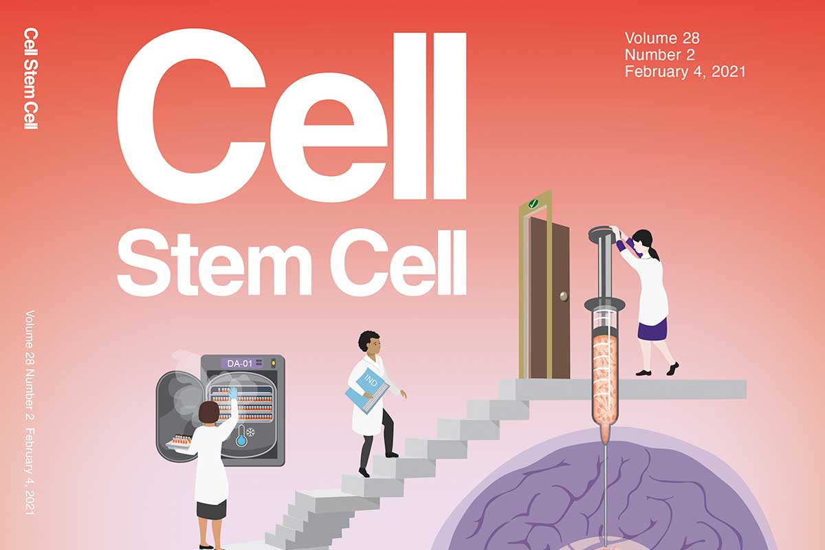 the cover of Cell: Stem Cell 