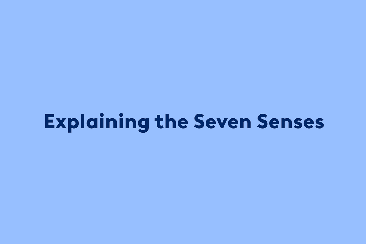 Explaining the Seven Senses