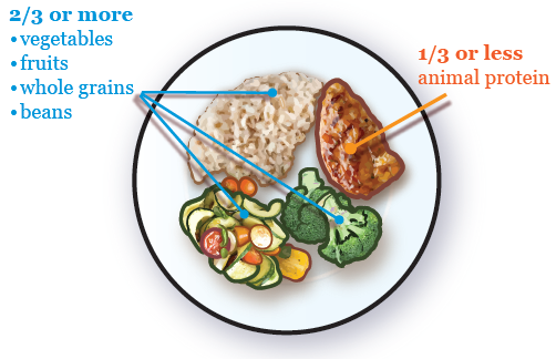 Diet Chart For Cancer Patient