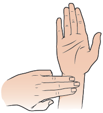 Image result for p6 pressure point