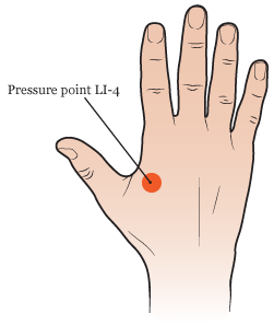 "Figure 1. Pressure point LI-4 on back of hand"