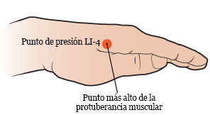 “Figura 3. Cómo encontrar el punto más alto de la protuberancia muscular”
