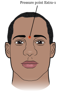 Figure 1. The midpoint (the center) between eyebrows