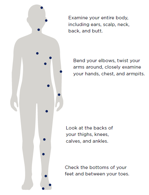 Figure 1. Tips for checking your skin.