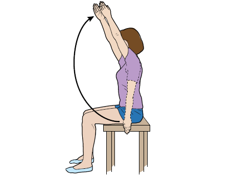 https://www.mskcc.org/sites/default/files/patient_ed/chair_exercises_02-218818/chair_exercises-fig_7.png