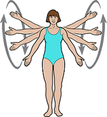 Рисунок 5.  Круговые движения руками