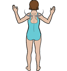 Рисунок 6.  Отведение рук и плечей назад