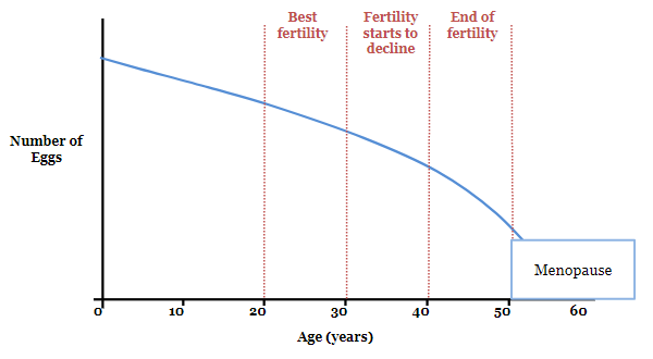 图 2. 卵巢储备和年龄