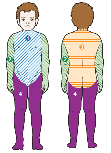 Figure 2. Use 4 cloths if you weigh 22 to 66 pounds (10 to 30 kilograms)