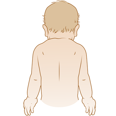 Back of child's upper body