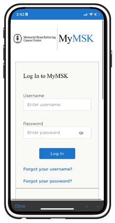 Figure 1. MyMSK login page