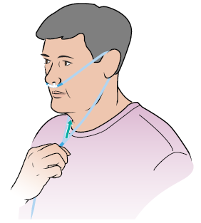 Рисунок 7. Заведите трубку носовой канюли за каждое ухо и отрегулируйте положение ползунка