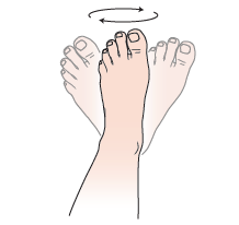 Figure 1. Ankle circles