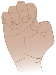 Figura 15. Cierre los dedos en un puño