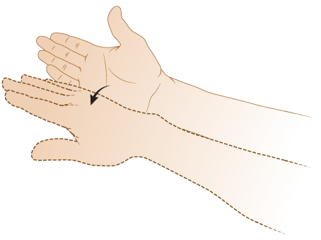 Figure 18. Rotating your palm downward