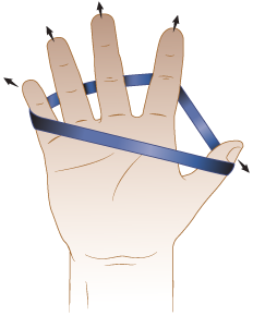 Figura 21. Separe los pulgares de los otros dedos
