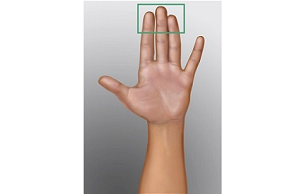 Figure 3. The pads of the 3 middle fingers of your hand