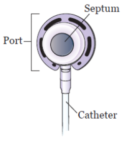 Figure 2. Parts of your port