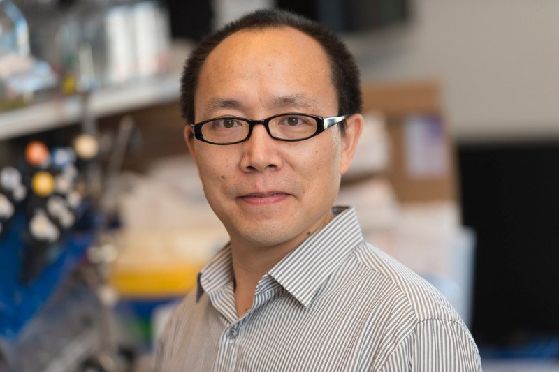 Zilai  Wang, PhD