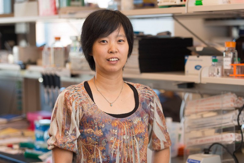 Jing  Li, PhD