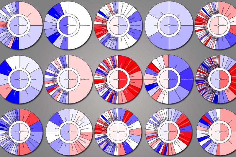 Screenshots of the “metabologram” tool showing metabolic data.