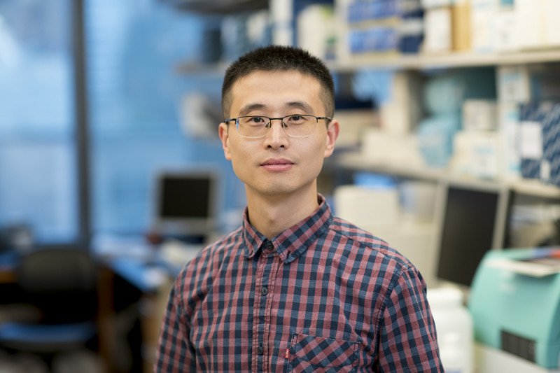 Zeguang Wu, PhD