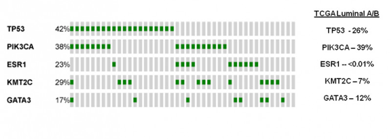 Mutational landscape of hormone refractory, metastatic ER+ breast cancer