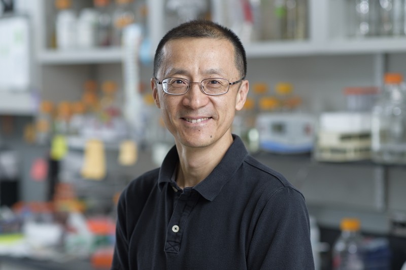 Weiyi Wang, PhD