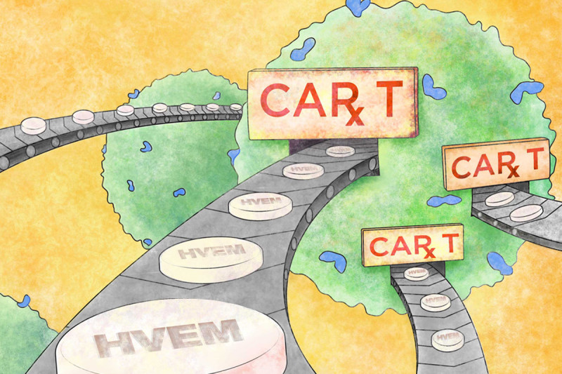 Illustration of CAR T cells with conveyor belts leading out of them carrying HVEM protein in tablet form.